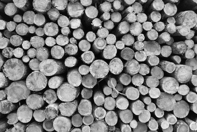 logs logs