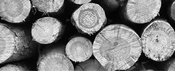 sustainability_guidance sustainability_guidance
